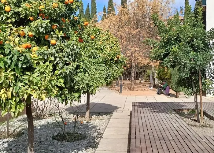 Casa Lisa - Centro - Realejo